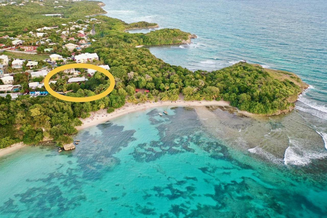 Et Spot De Surf Appartement